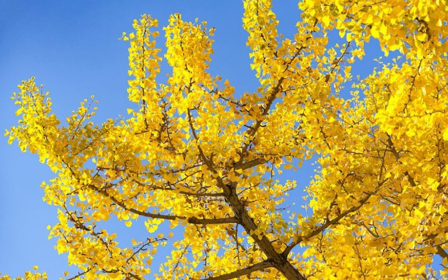 西安霸陵新區公墓價格-霸陵新區的墓地怎么樣？-霸陵墓園